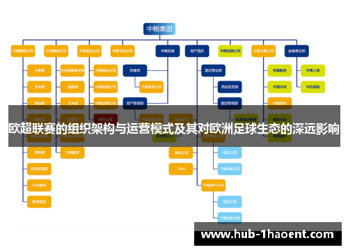 欧超联赛的组织架构与运营模式及其对欧洲足球生态的深远影响