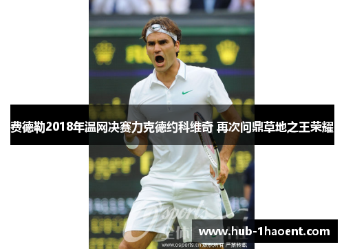 费德勒2018年温网决赛力克德约科维奇 再次问鼎草地之王荣耀