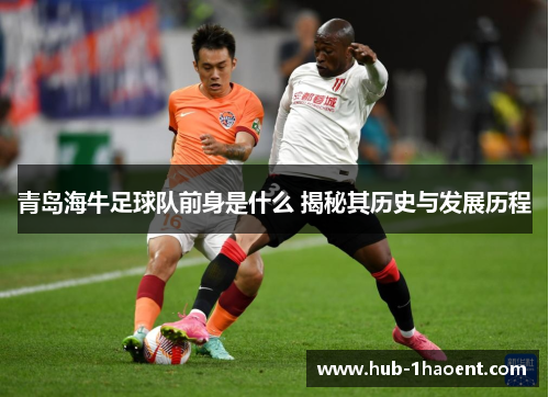 青岛海牛足球队前身是什么 揭秘其历史与发展历程 青岛海牛足球队前身是什么 揭秘其历史与发展历程